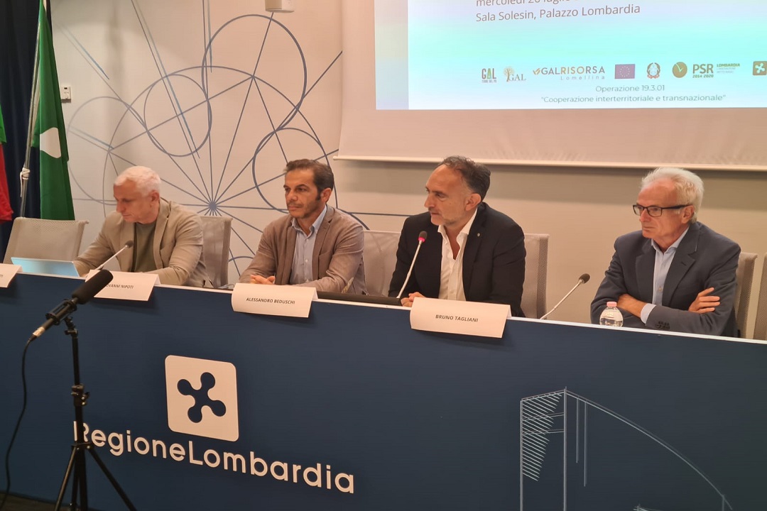 Regione Lombardia 2